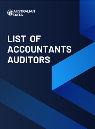 Accountants Auditors